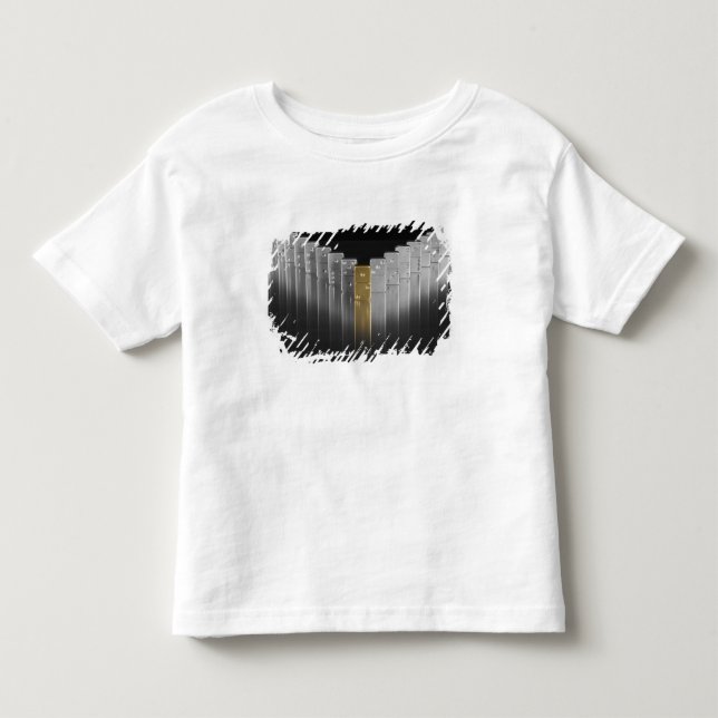 Guld- och silverdomino t-shirt (Framsida)