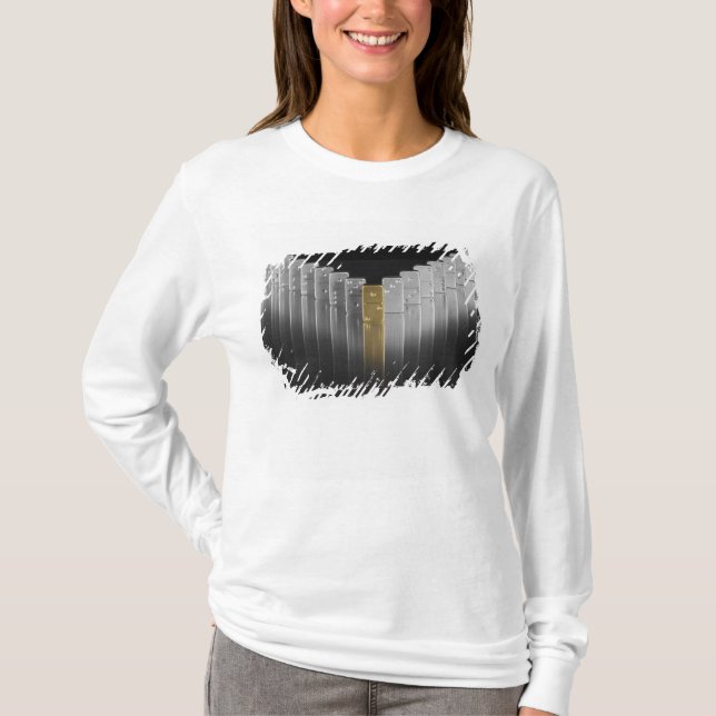 Guld- och silverdomino t-shirt (Framsida)