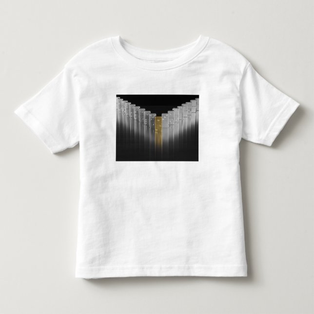 Guld- och silverdomino t-shirt (Framsida)