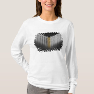Guld- och silverdomino tee