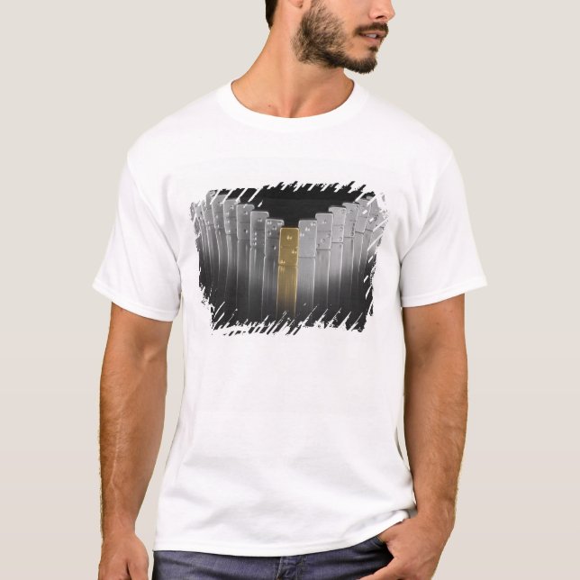 Guld- och silverdomino tee shirt (Framsida)
