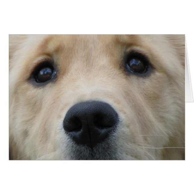 Guld- ögon hälsningskort (Framsidan Horizontal)