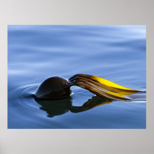 Guld- ormbunksblad - affisch