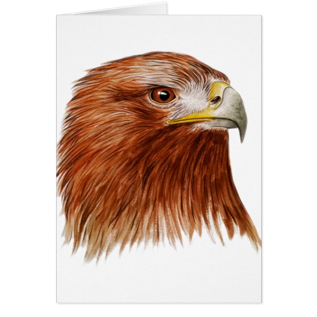 Guld- örn 2011 hälsningskort (Framsidan)