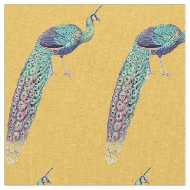 Guld- påfågel tyg (Närbild)