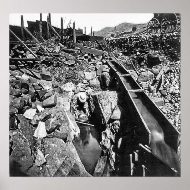 GULD PANNING i KALIFORNIEN c. 1866 Poster (Framsidan)