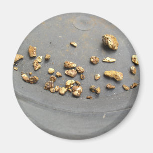Guld- panorera magnet