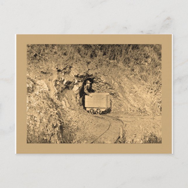 Guld-panorering t-shirts vykort (Framsida)