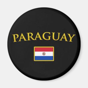 Guld- Paraguay Magnet