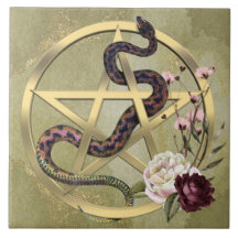 Guld Pentacle och Snake with Ro Pagan Altar