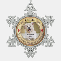 Guld Pet Memorial - för alltid ihågkommen