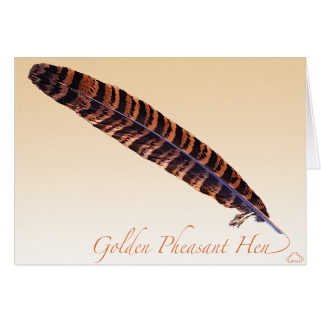 Guld- Pheasanthönasvan Hälsningskort (Framsidan Horizontal)