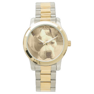 Guld Pit Bull Watch Armbandsur