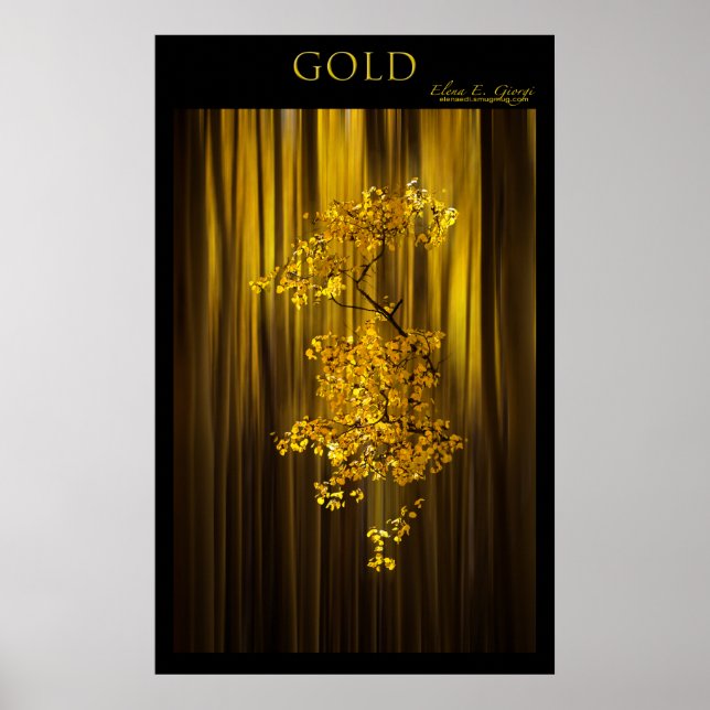 Guld Poster (Framsidan)