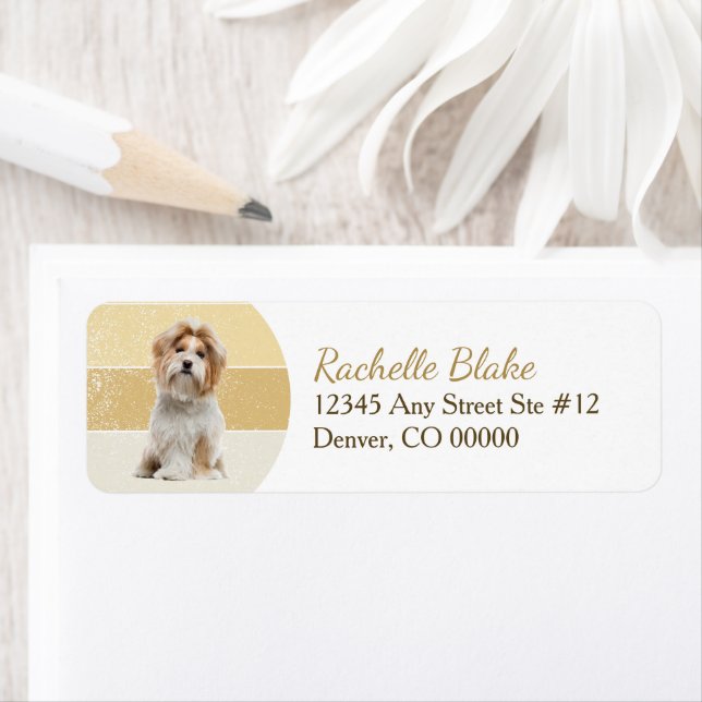Guld Rand Shih-Tzu Hund Returadress Etikett (Insitu)