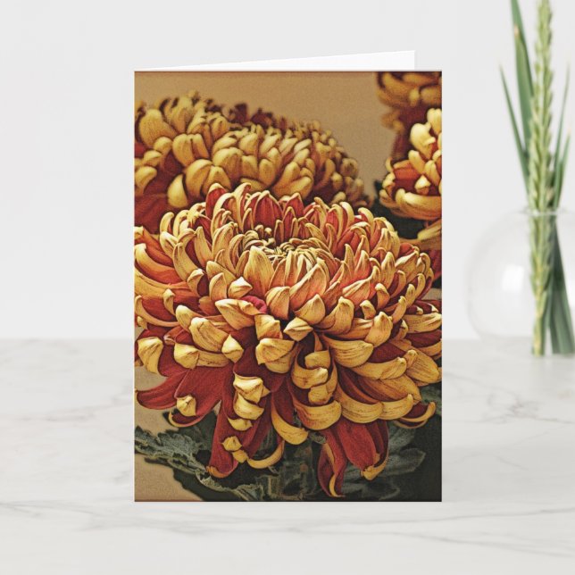 Guld & Red Chrysanthemum Greeting Card Kort (Framsida)