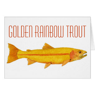 Guld- regnbågeTrout. OBS Kort
