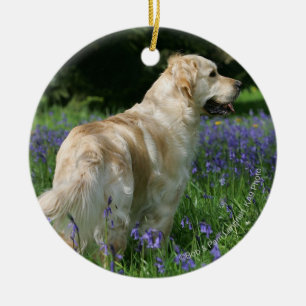 Guld- Retreiver i blommor Julgransprydnad Keramik