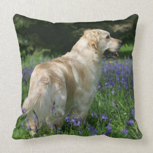 Guld- Retreiver i blommor Kudde