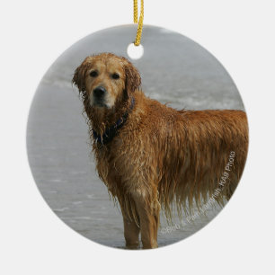 Guld- Retreiver i havet Julgransprydnad Keramik