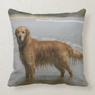Guld- Retreiver i havet Kudde