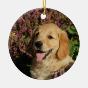 Guld- Retreiver valp Julgransprydnad Keramik