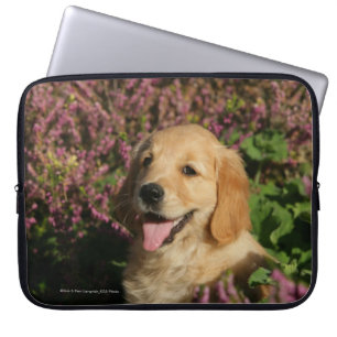 Guld- Retreiver valp Laptop Fodral