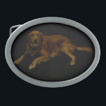 Guld- Retriever<br><div class="desc">Guld- etriever</div>