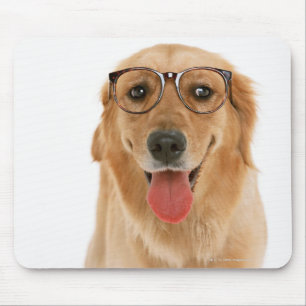 Guld- Retriever 3 Musmatta