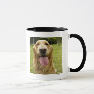 Guld- Retriever 4 Mugg