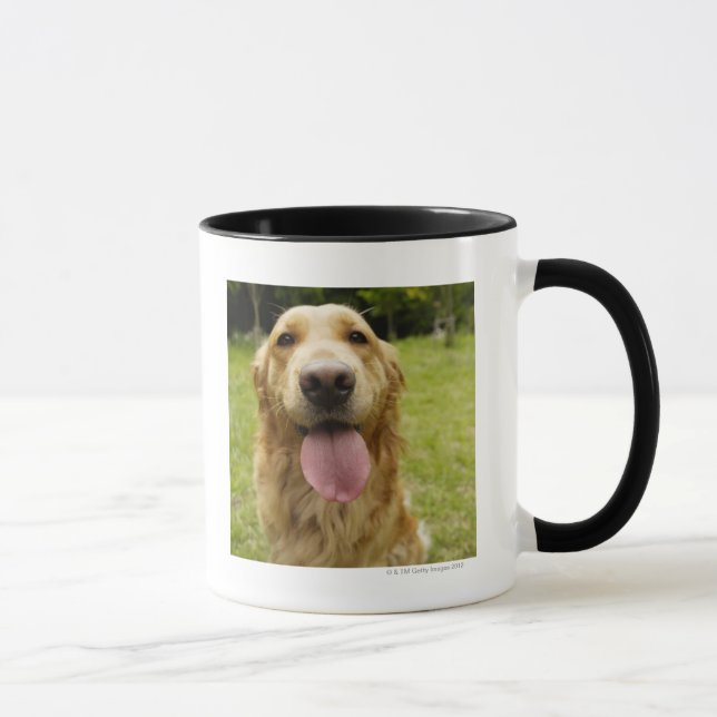 Guld- Retriever 4 Mugg (Höger)