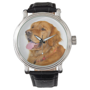 Guld- retriever armbandsur