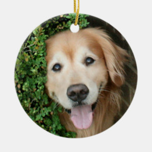 Guld- Retriever bak ett leende Julgransprydnad Keramik