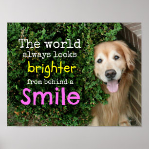 Guld- Retriever bak ett leende Poster