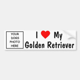 Guld- Retriever Bildekal