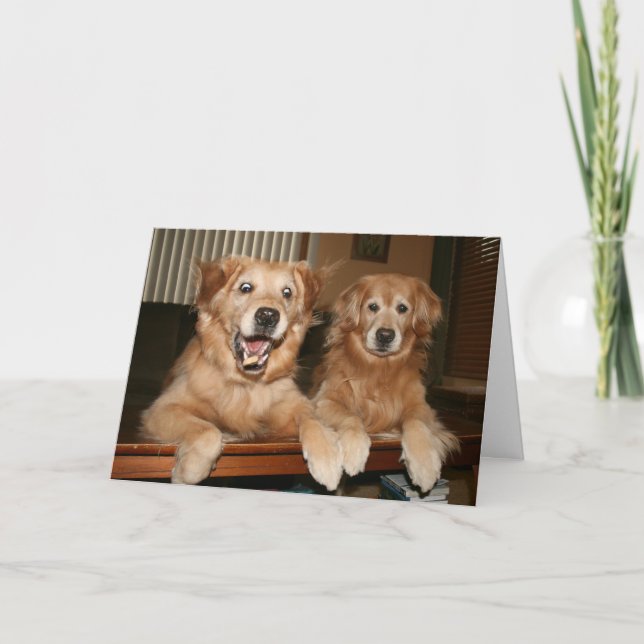 Guld Retriever Birthday Greeting Card Kort (Framsida)