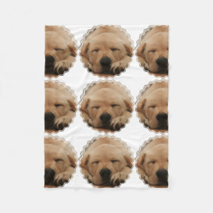 Guld- Retriever Fleecefilt
