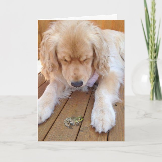 Guld- retriever för födelsedag med grodan kort (Framsida)