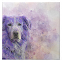 Guld- Retriever för hund 140