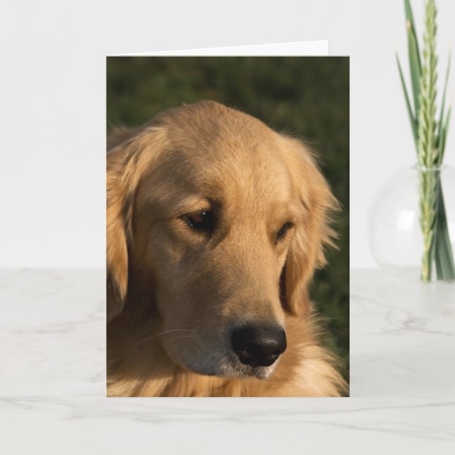 Guld Retriever Head Shot Note Card Kort (Framsida)