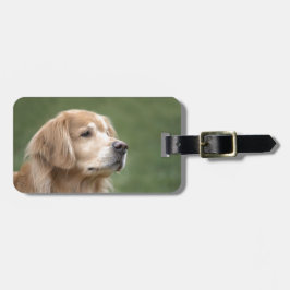 Guld- Retriever i Closeup Bagagebricka