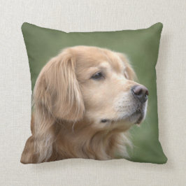 Guld- Retriever i CloseUp Kudde