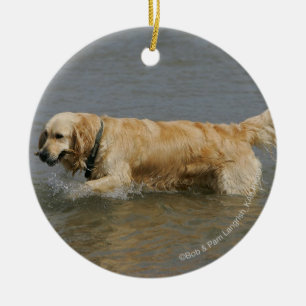 Guld- Retriever i vatten Julgransprydnad Keramik