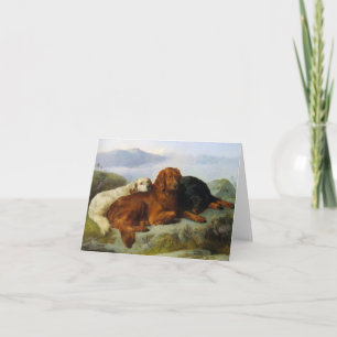 Guld- Retriever, irländare och Gordon Setter Kort