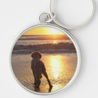 Guld- Retriever Keychain Rund Silverfärgad Nyckelring