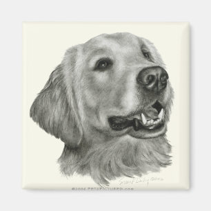 Guld- Retriever Magnet