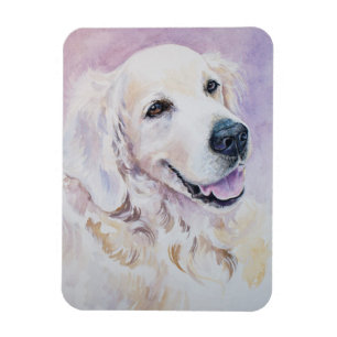 Guld- retriever magnet