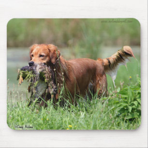 Guld- Retriever med ankan Mousepad Musmatta