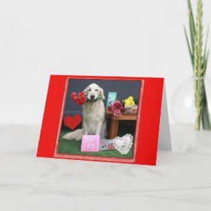 Guld- Retriever med blommor för valentin dag Helgkort