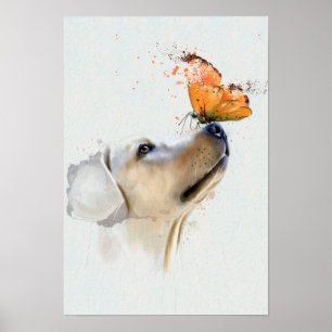 Guld- Retriever med en fjäril på dess näsa Poster
